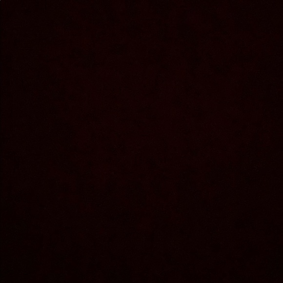 Meet your Posher, Ryder - Picture 1 of 1